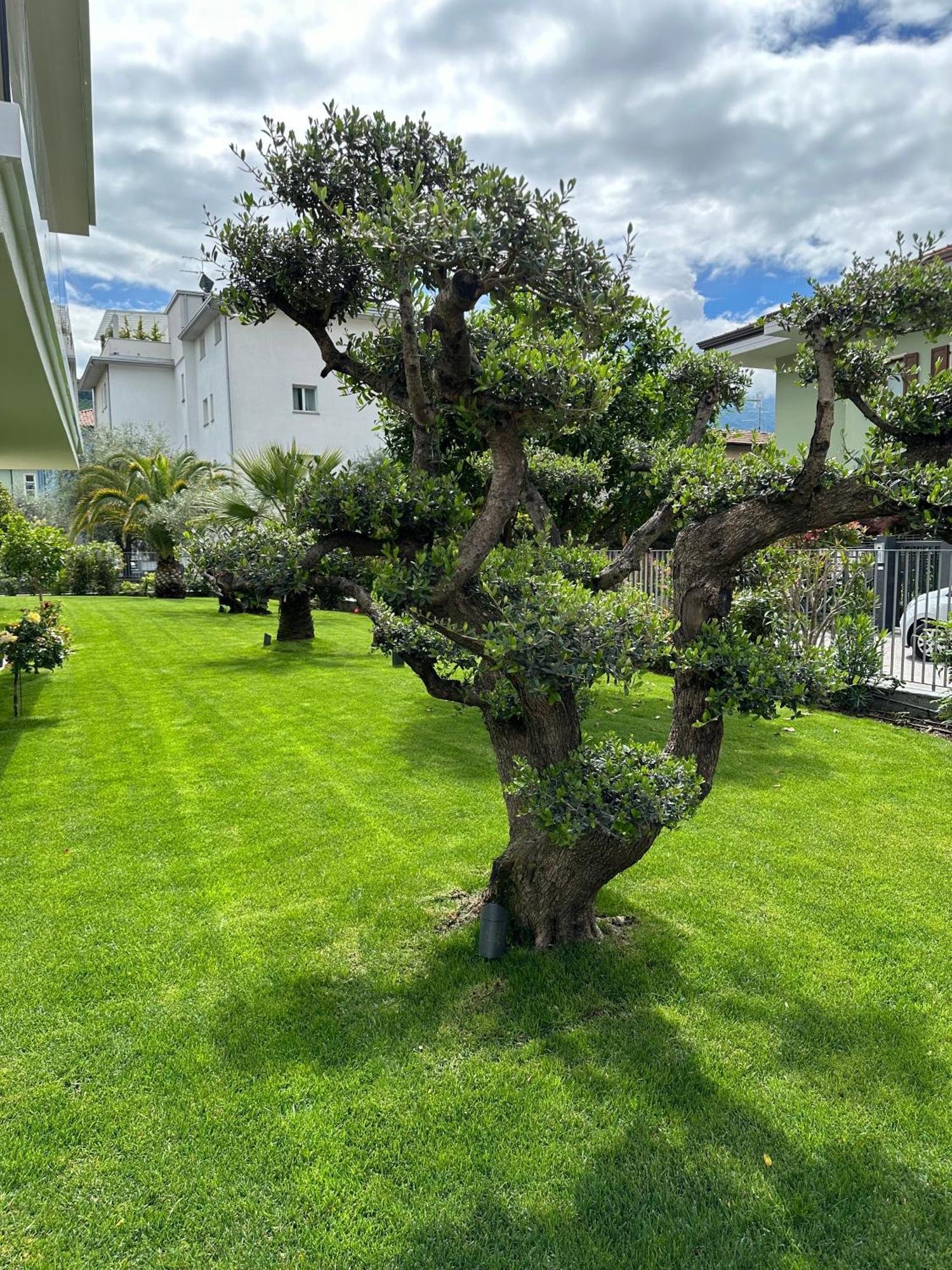 Residence Villa Dalila - Appartamento Dalila Riva del Garda Exterior foto